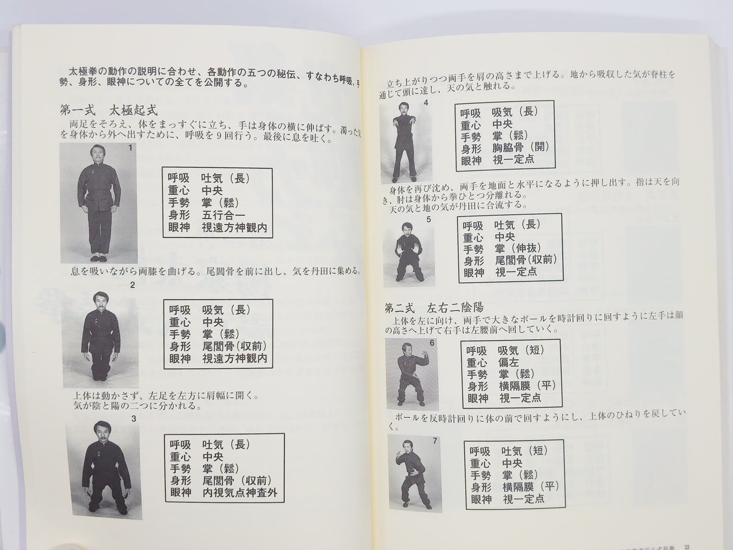 201 氣の力を覚醒させる太極拳 / 蘇昱彰 / 東邦出版
