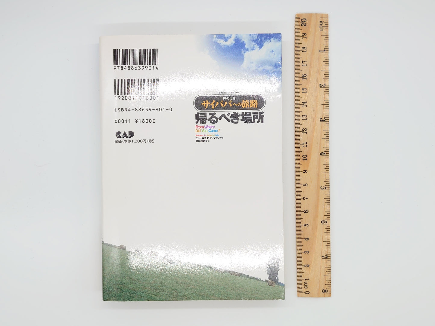 225 帰るべき場所 -神の化身サイババへの旅路-/チャールズ・P・ディフィジオ/中央アート出版社