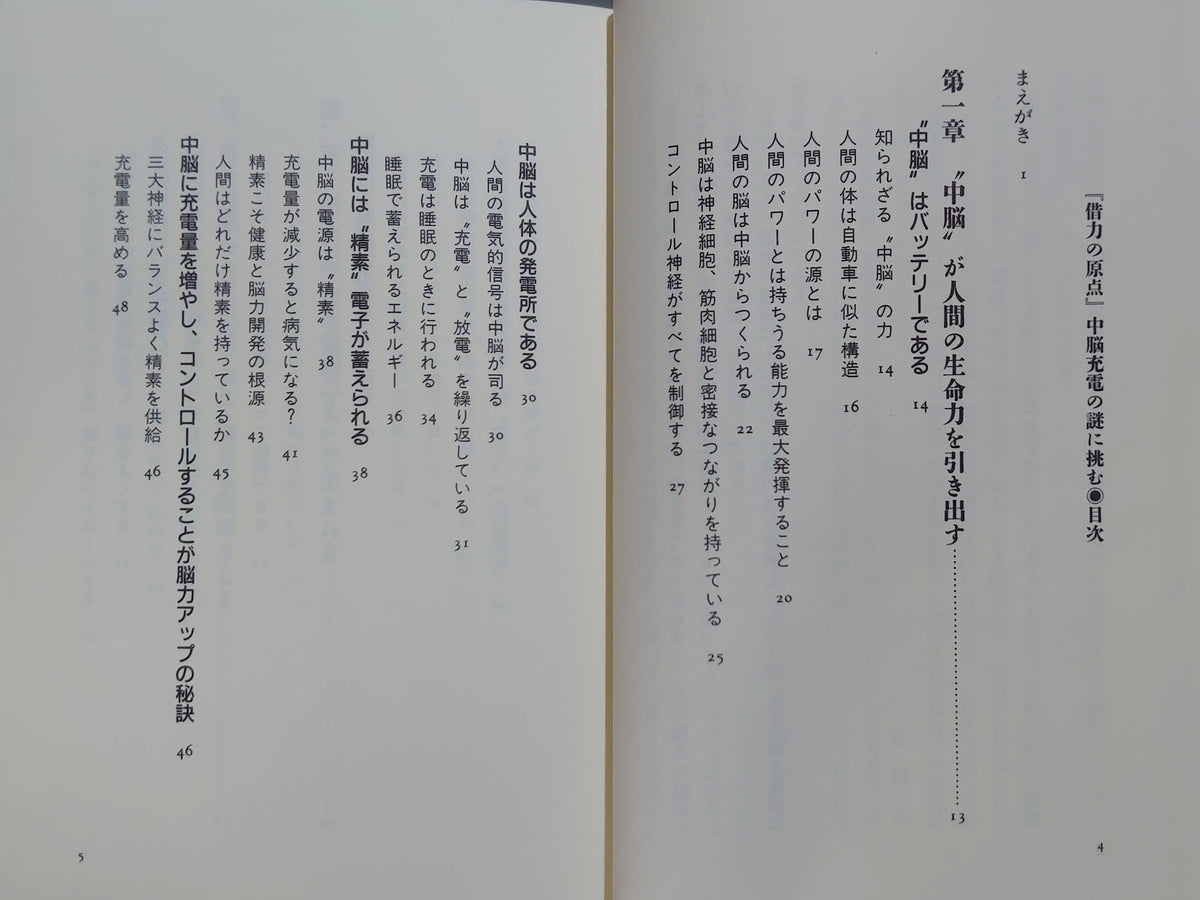 『借力の原点』 中脳充電の謎に挑む/力抜山/現代書林