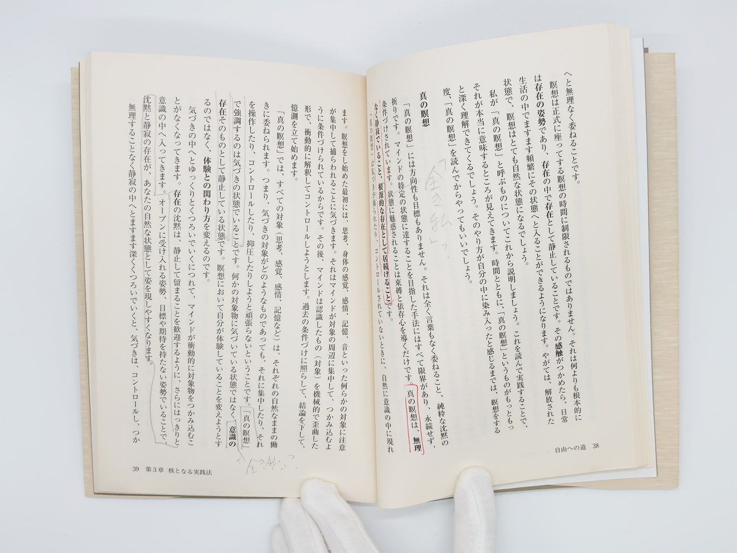 215 自由への道 スピリチュアルな悟りへの実践ガイド/アジャシャンティ/ナチュラルスピリット