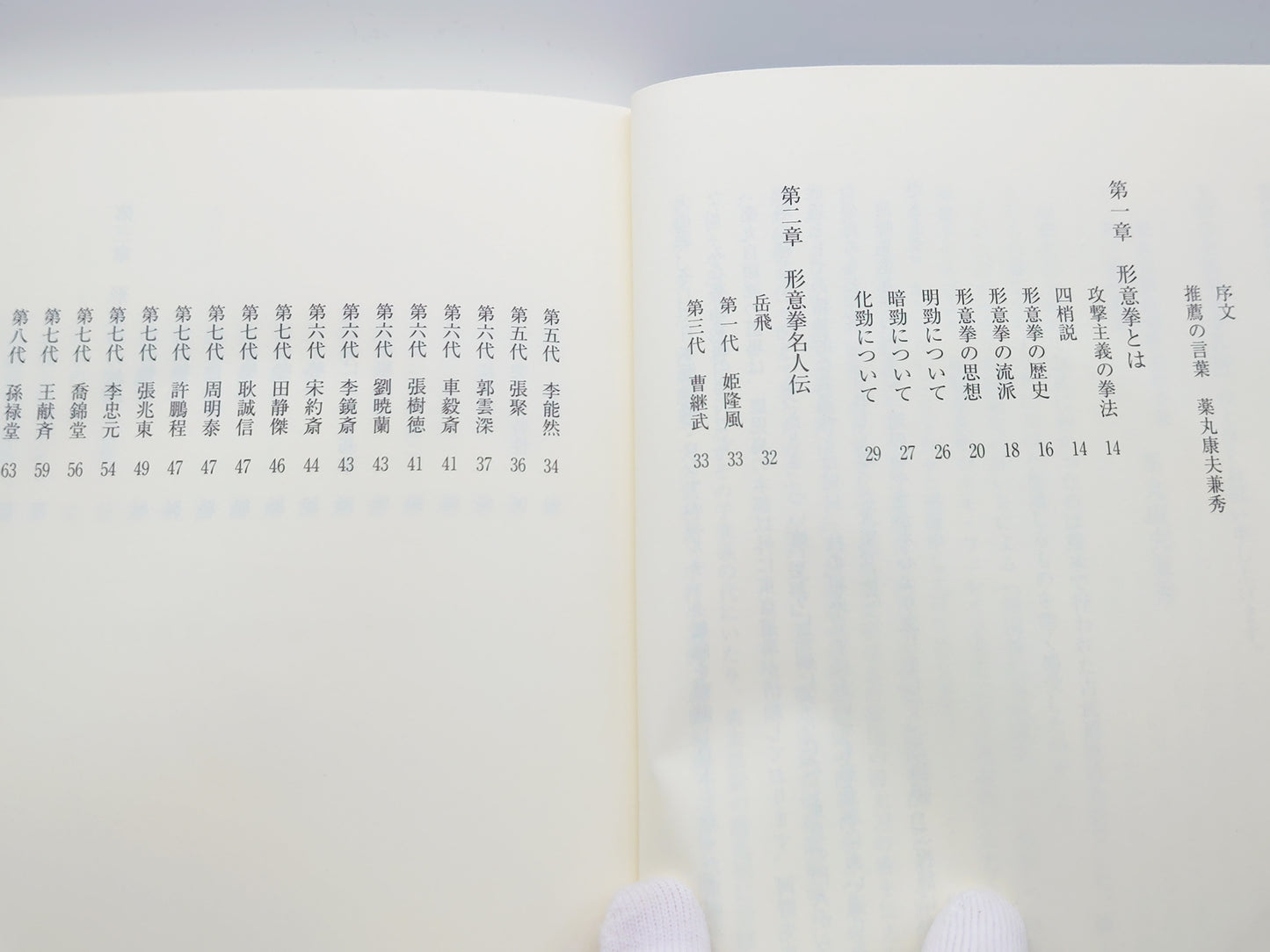 201 王樹金老師形意拳真伝/河野義勝/東邦出版