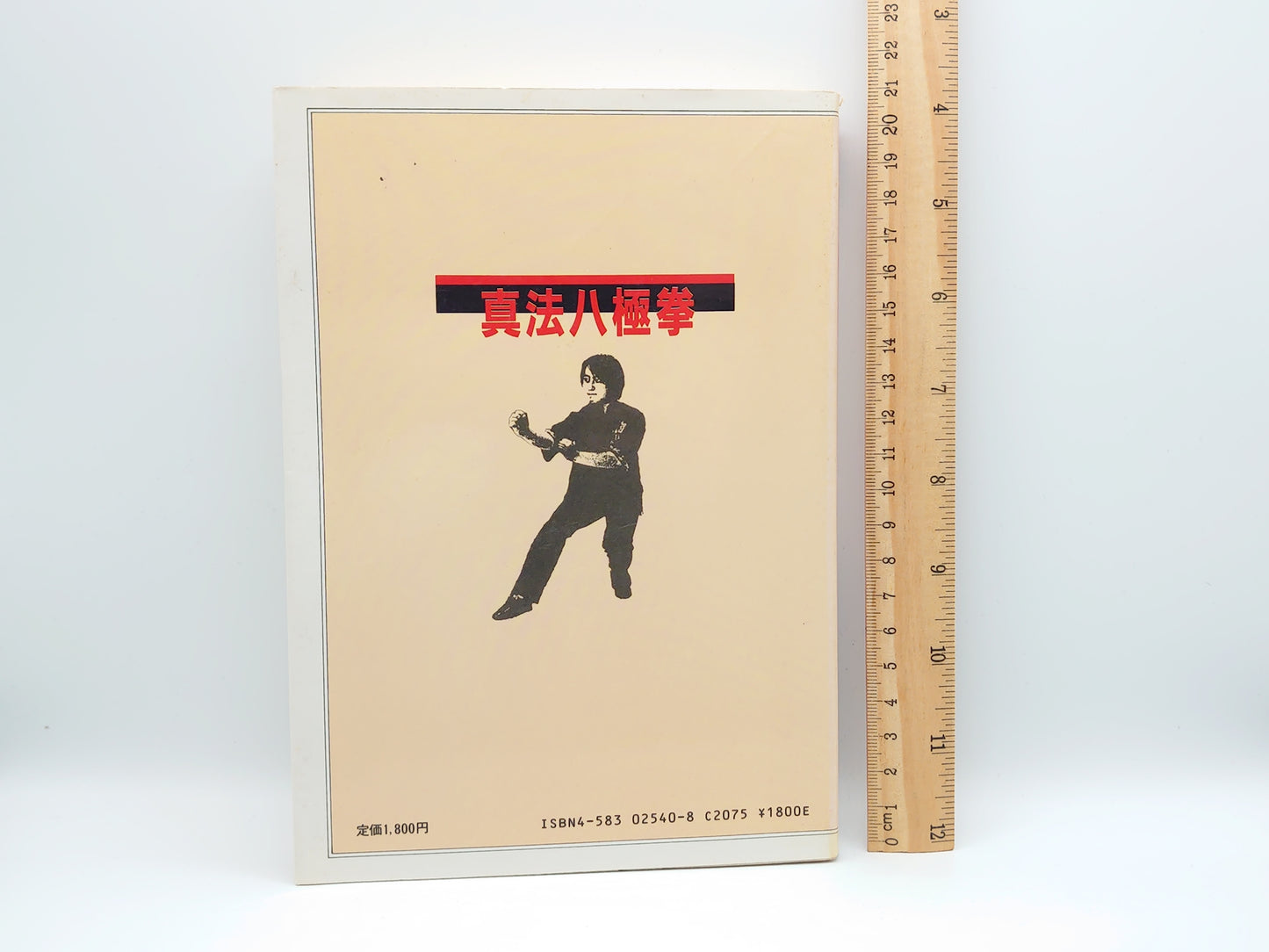 *真法八極拳/呉伯焔 /ベースボール・マガジン社
