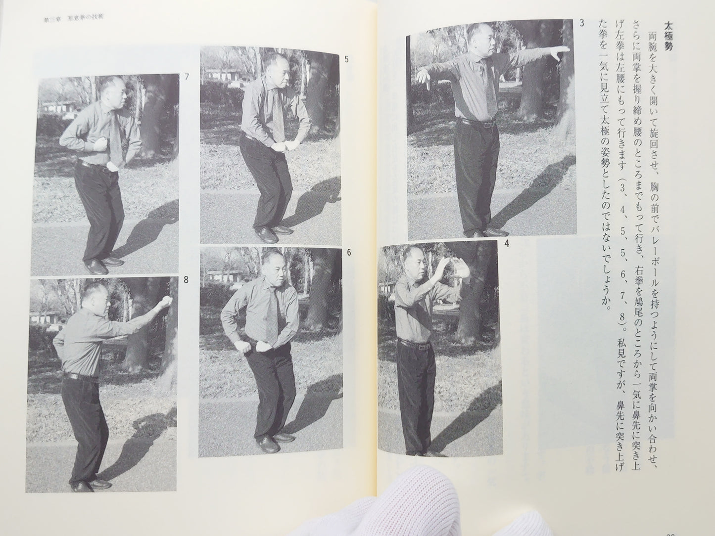 201 王樹金老師形意拳真伝/河野義勝/東邦出版