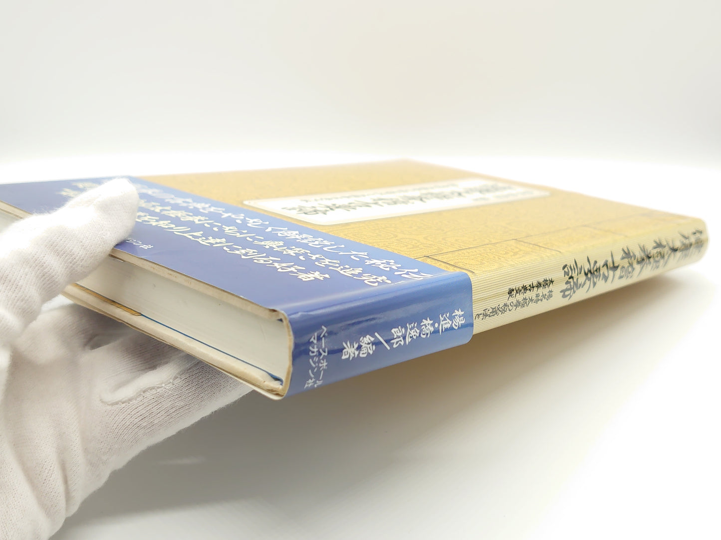 215 健康太極拳稽古要諦 楊名時太極拳の秘必用法と太極拳 古典文献/楊進 橋逸郎/ベースボール・マガジン社