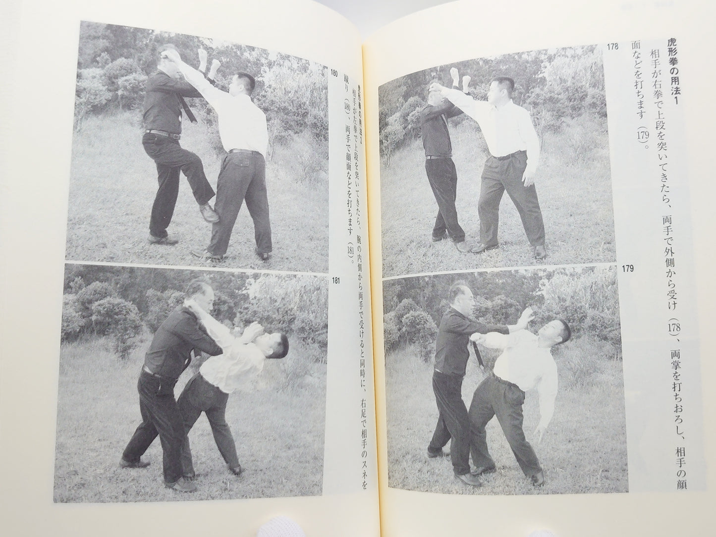 201 王樹金老師形意拳真伝/河野義勝/東邦出版