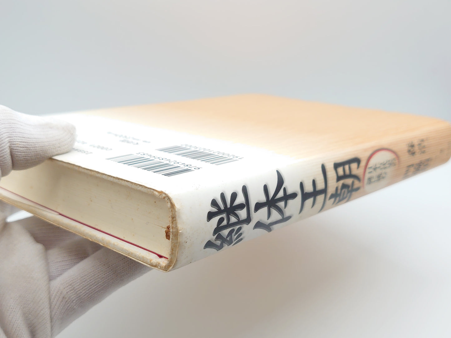 225 継体王朝 日本古代史の謎に挑む/森浩一・門脇禎二/大巧社