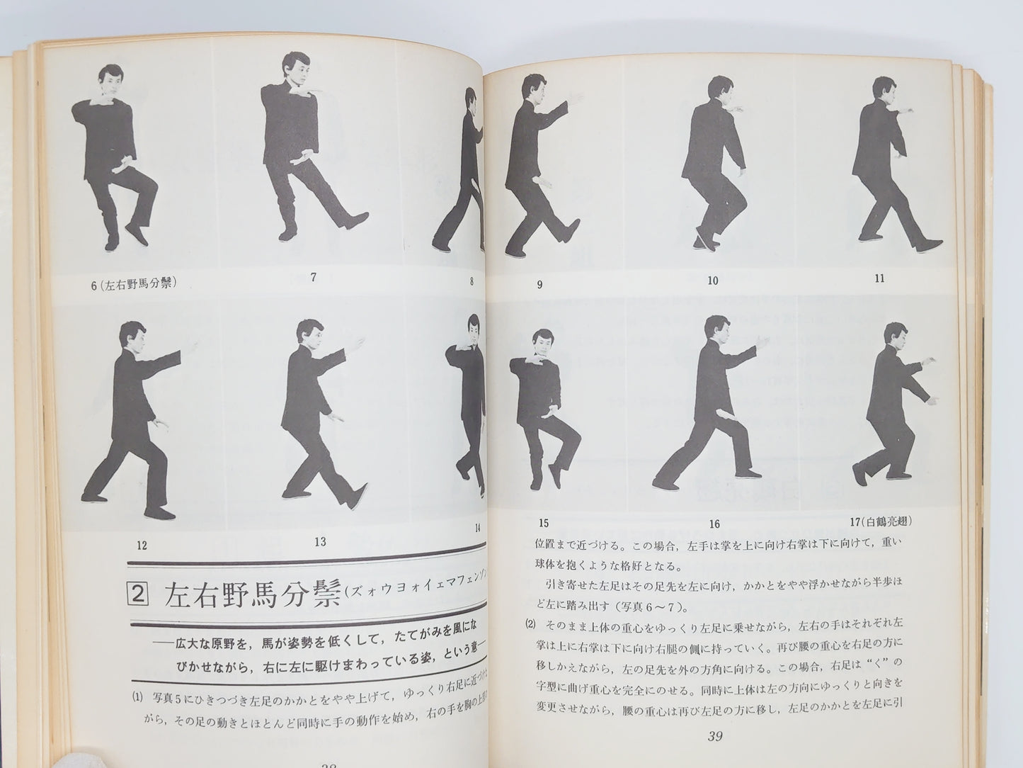 201 中国拳法 太極拳・形意拳・八卦掌 / 鶴山晃瑞 / 成美堂出版