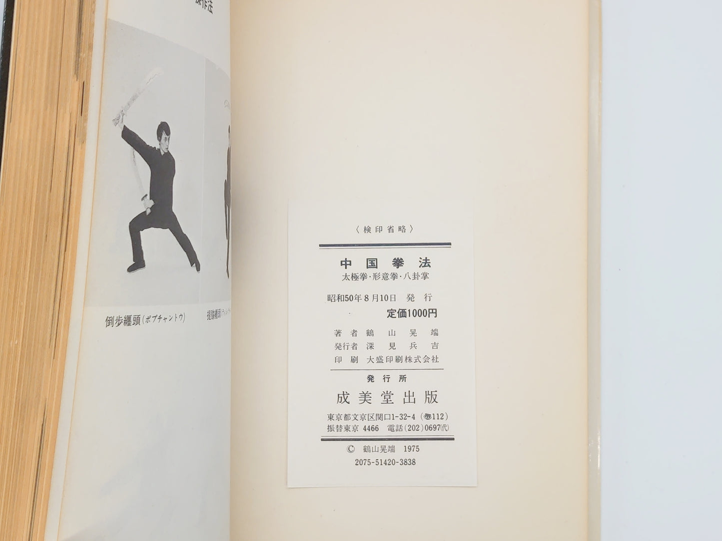 201 中国拳法 太極拳・形意拳・八卦掌 / 鶴山晃瑞 / 成美堂出版