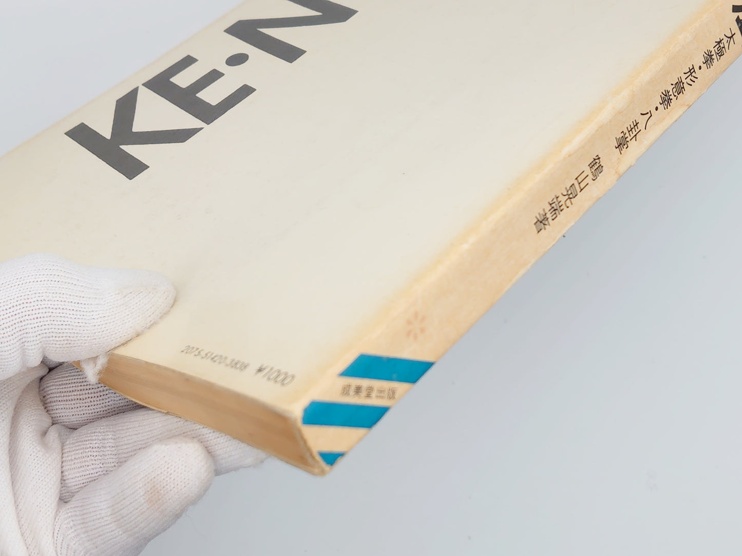 201 中国拳法 太極拳・形意拳・八卦掌 / 鶴山晃瑞 / 成美堂出版