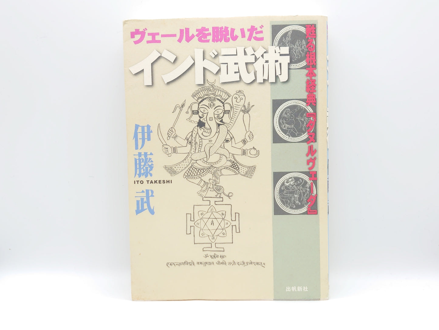 201 ヴェ-ルを脱いだインド武術: 甦る根本経典『ダヌルヴェ-ダ』/伊藤 武/出帆新社