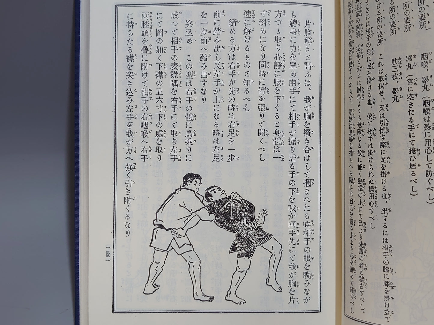 202 復刻版 日本武術大全