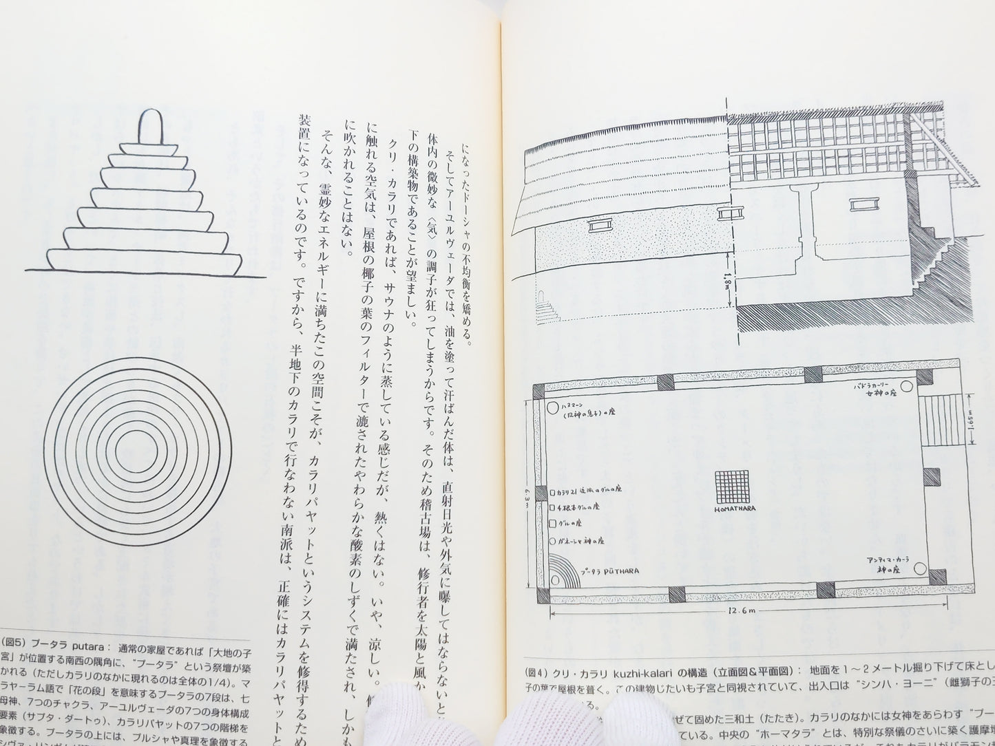 201 ヴェ-ルを脱いだインド武術: 甦る根本経典『ダヌルヴェ-ダ』/伊藤 武/出帆新社