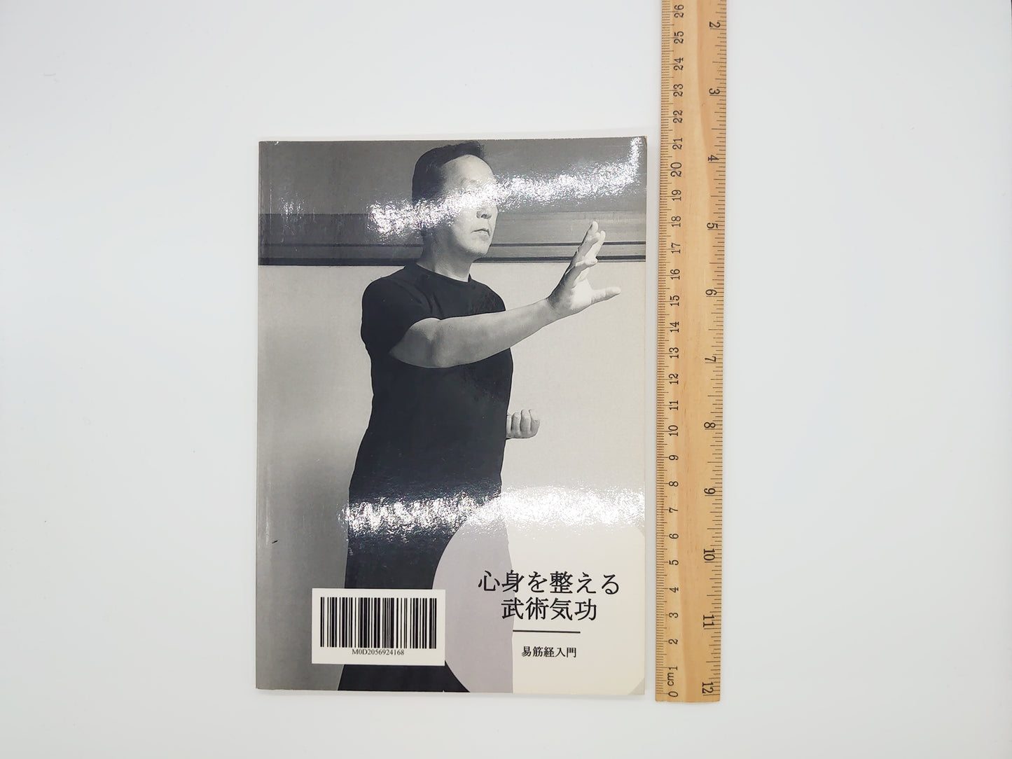 215『心身を整える武術気功 易筋経入門』 太極樹人会/がんばる一半人