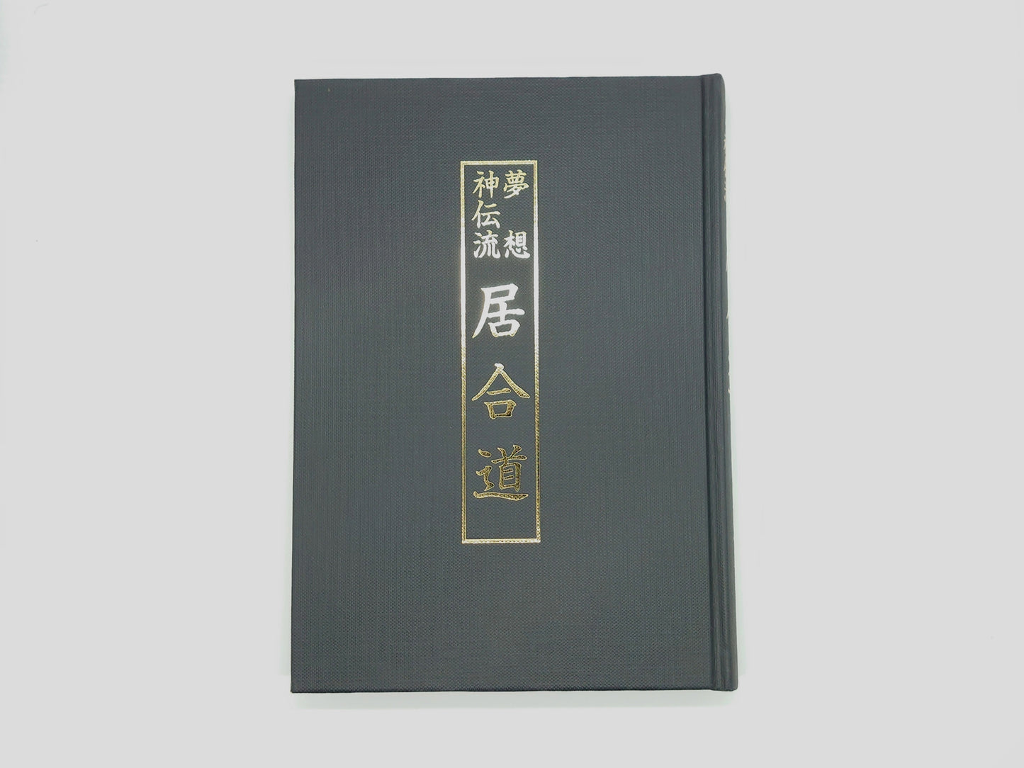 201 《无双新电龙居合修改新版》山松十吉/Airyuudo