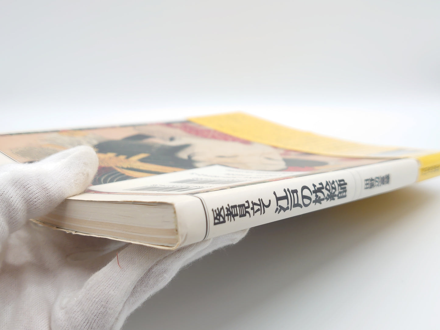 225 "Doctor's Mimicry: Edo Pillow Painters" by Tomizo Tanobe/Kawade Shobo Shinsha