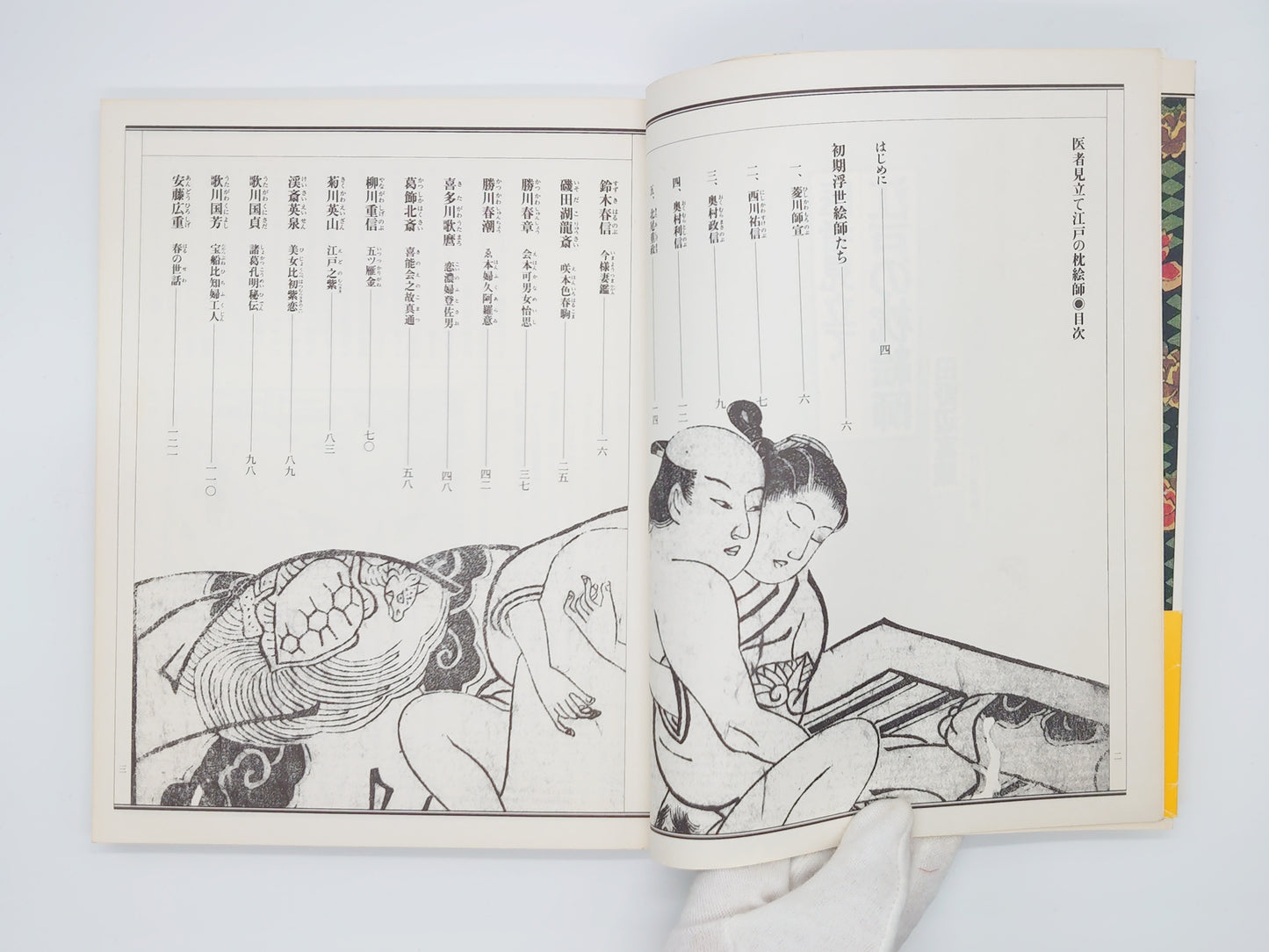 225 "Doctor's Mimicry: Edo Pillow Painters" by Tomizo Tanobe/Kawade Shobo Shinsha