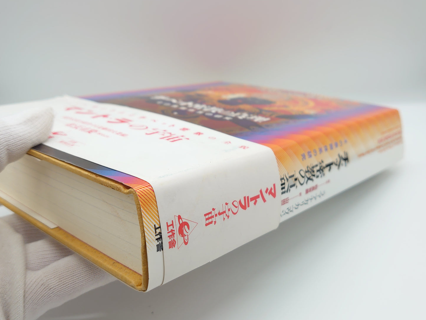 214 チベット密教の真理 その象徴体系の研究/ラマ・アナガリカ・ゴヴィンダ/工作舎