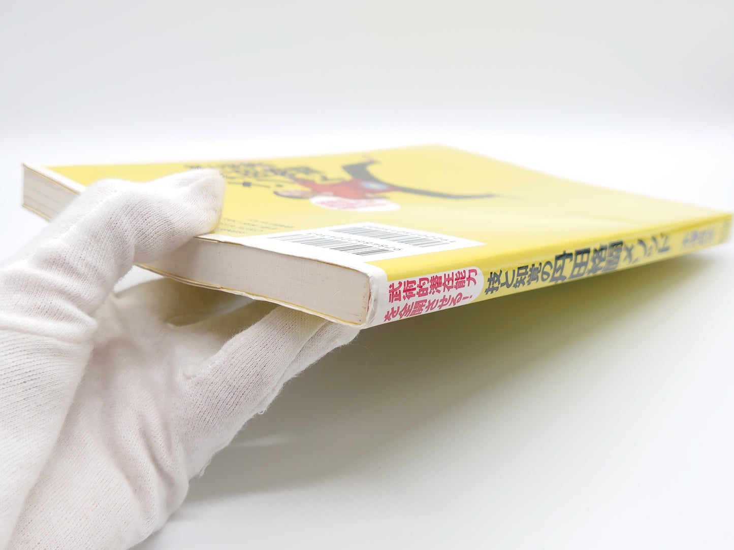201『技と知覚の丹田格闘メソッド  武術的潜在能力を全開させる!』 木澤良文/BABジャパン