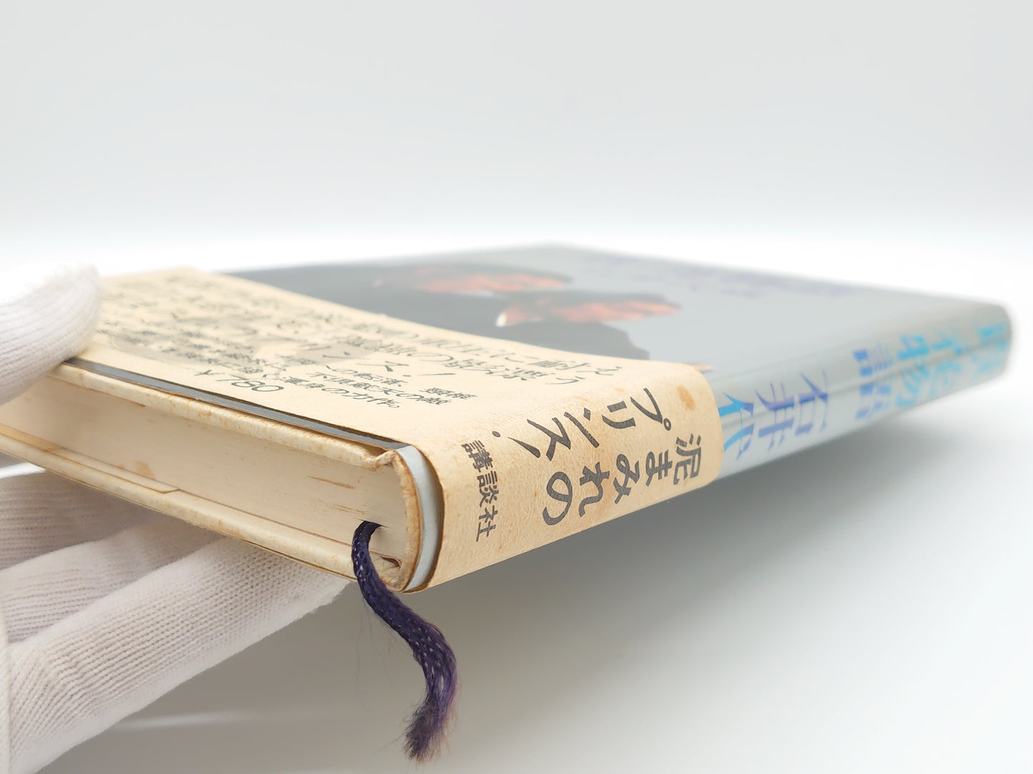 201 貴ノ花物語/石井代蔵/講談社