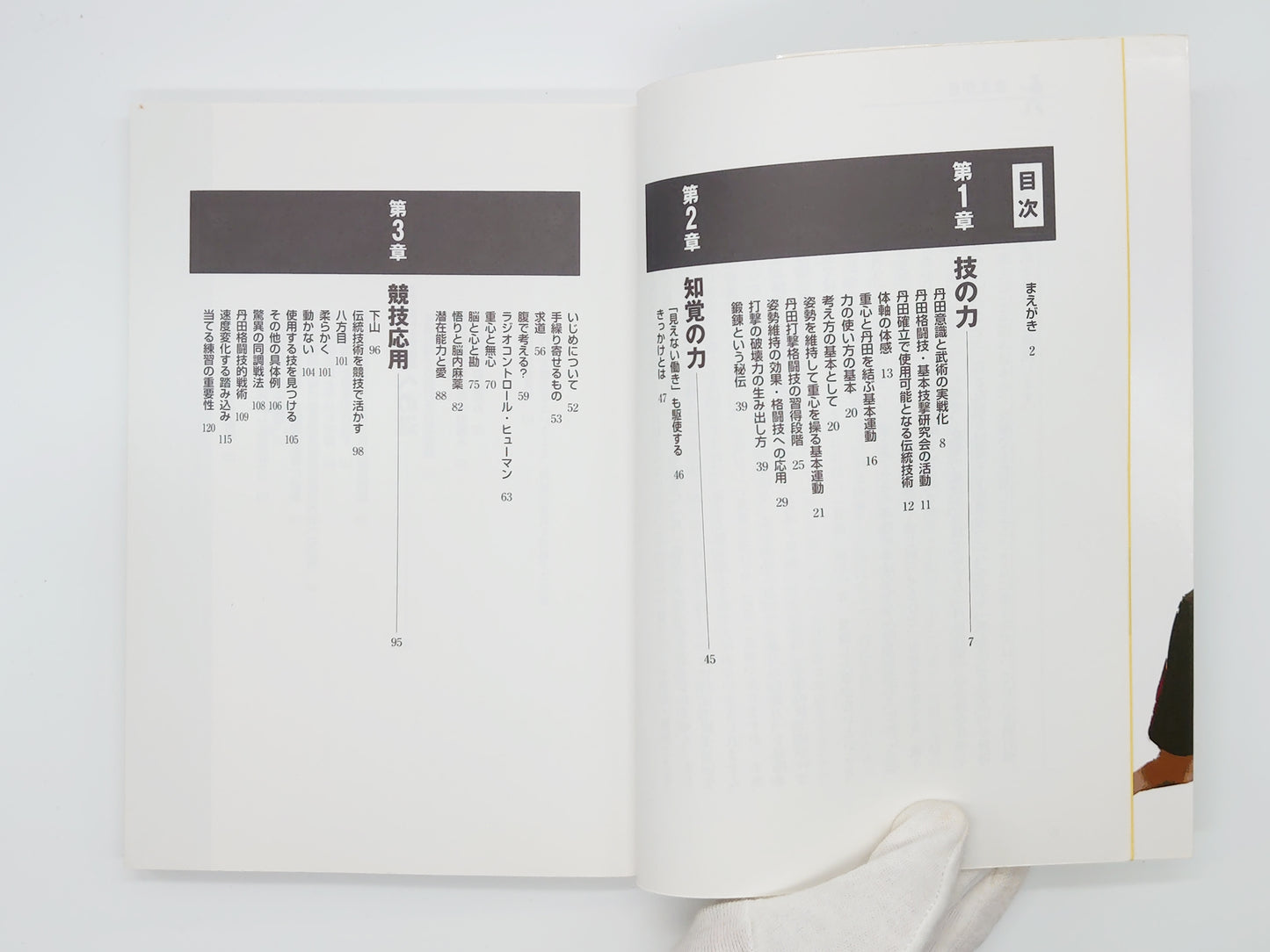 201『技と知覚の丹田格闘メソッド  武術的潜在能力を全開させる!』 木澤良文/BABジャパン