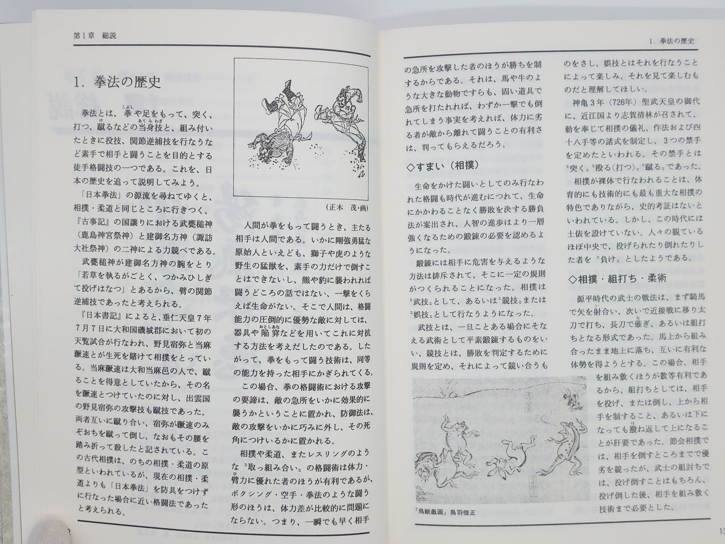 201 絵説 日本拳法入門 全 / 森良之祐 / 東京書店