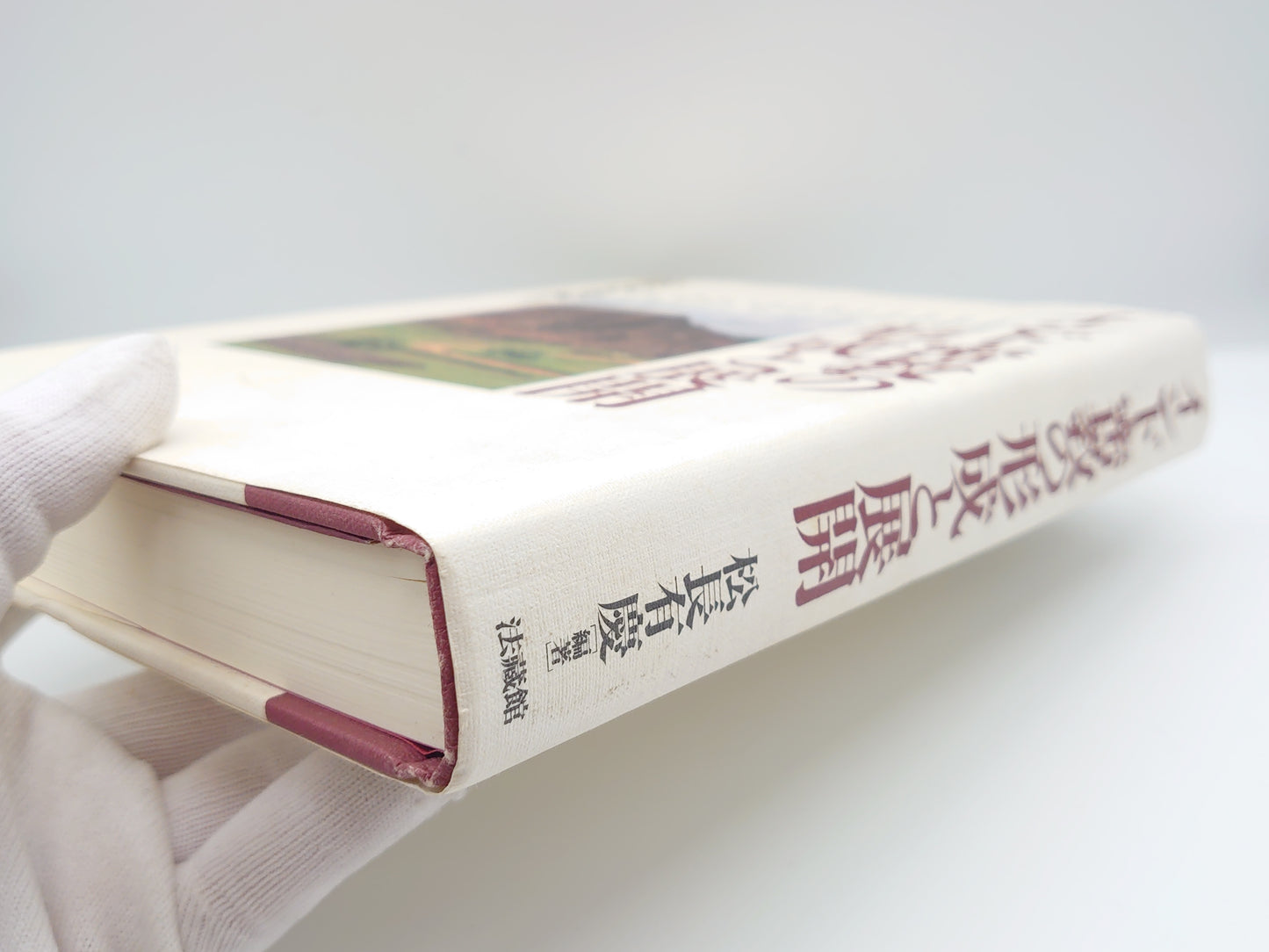 214 インド密教の形成と展開/松長有慶/法蔵館