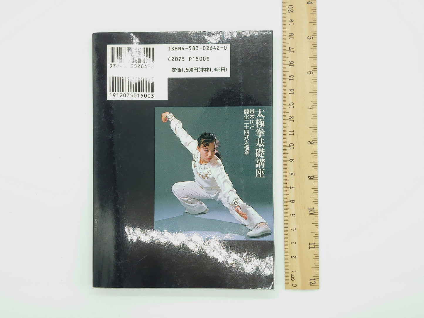 201『太極拳基礎講座 基本功と簡化二十四式太極拳』 李徳印/ベースボール・マガジン社