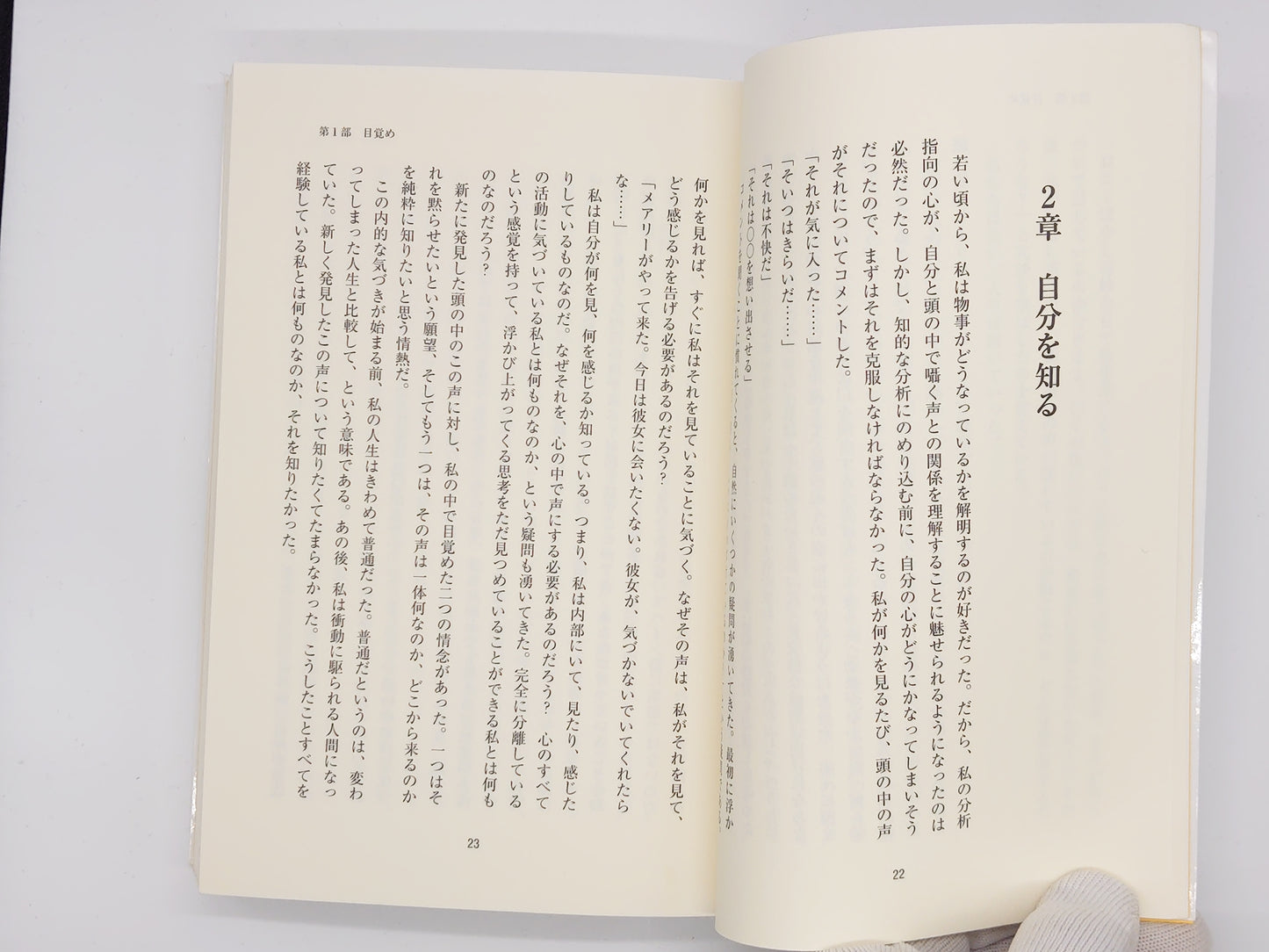 216 サレンダー/ マイケル・A・シンガー / 風雲舎