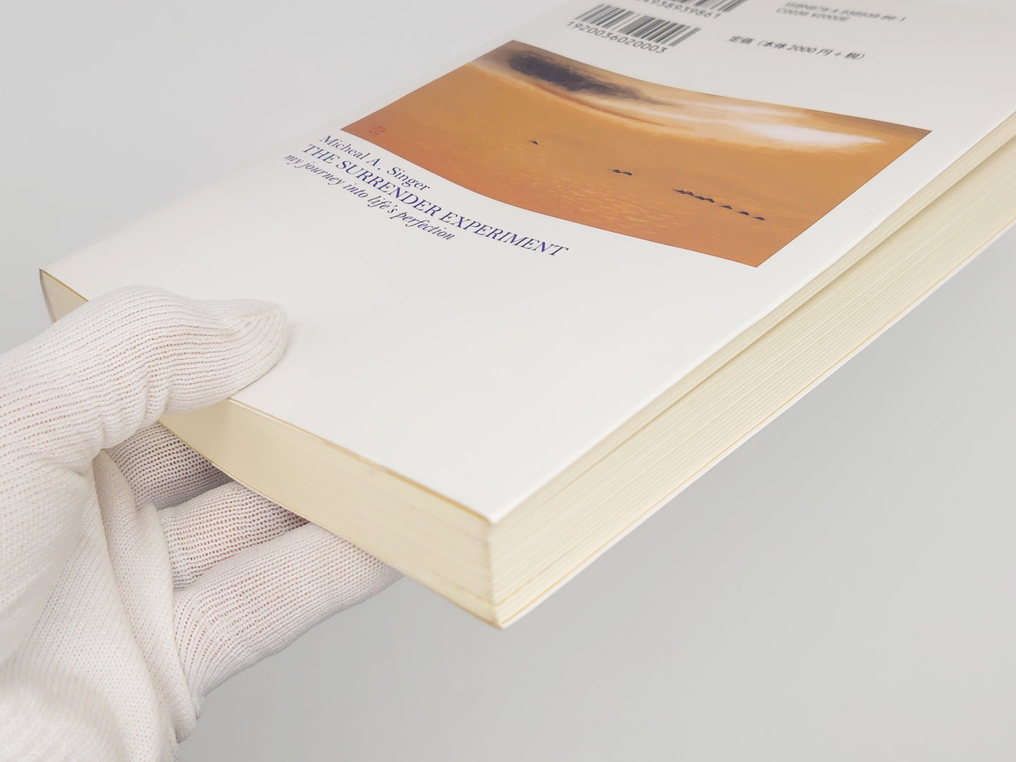 216 サレンダー/ マイケル・A・シンガー / 風雲舎