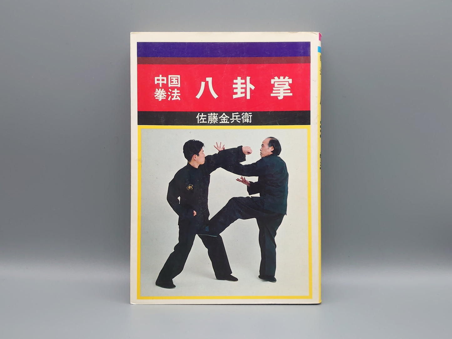 202 中国拳法 八卦掌/佐藤金兵衛/愛隆堂