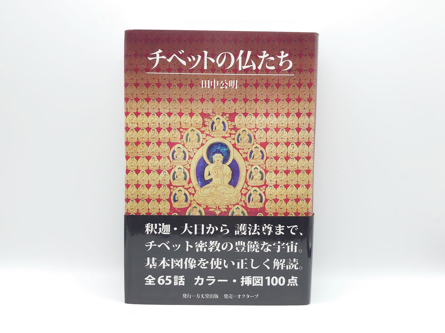 214 チベットの仏たち/田中公明/方丈堂出版