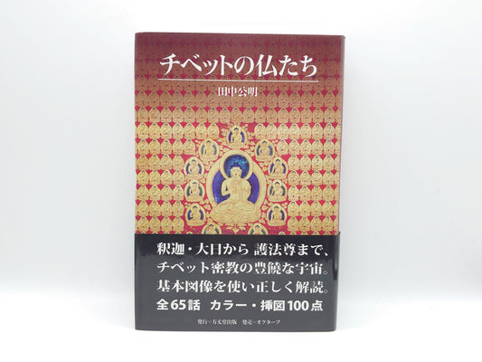 214 チベットの仏たち/田中公明/方丈堂出版