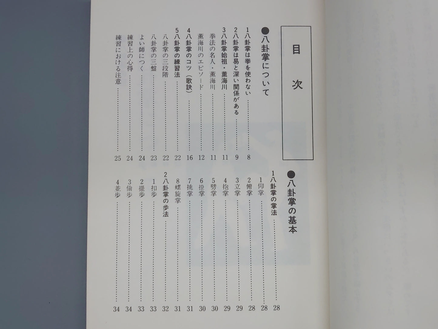 202 中国拳法 八卦掌/佐藤金兵衛/愛隆堂