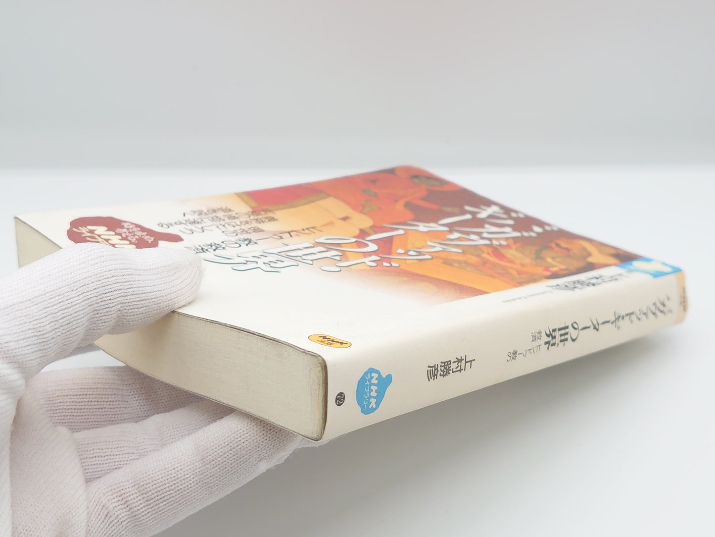 225 バガヴァッド・ギーターの世界 ヒンドゥー教の救済/上村勝彦/NHK出版