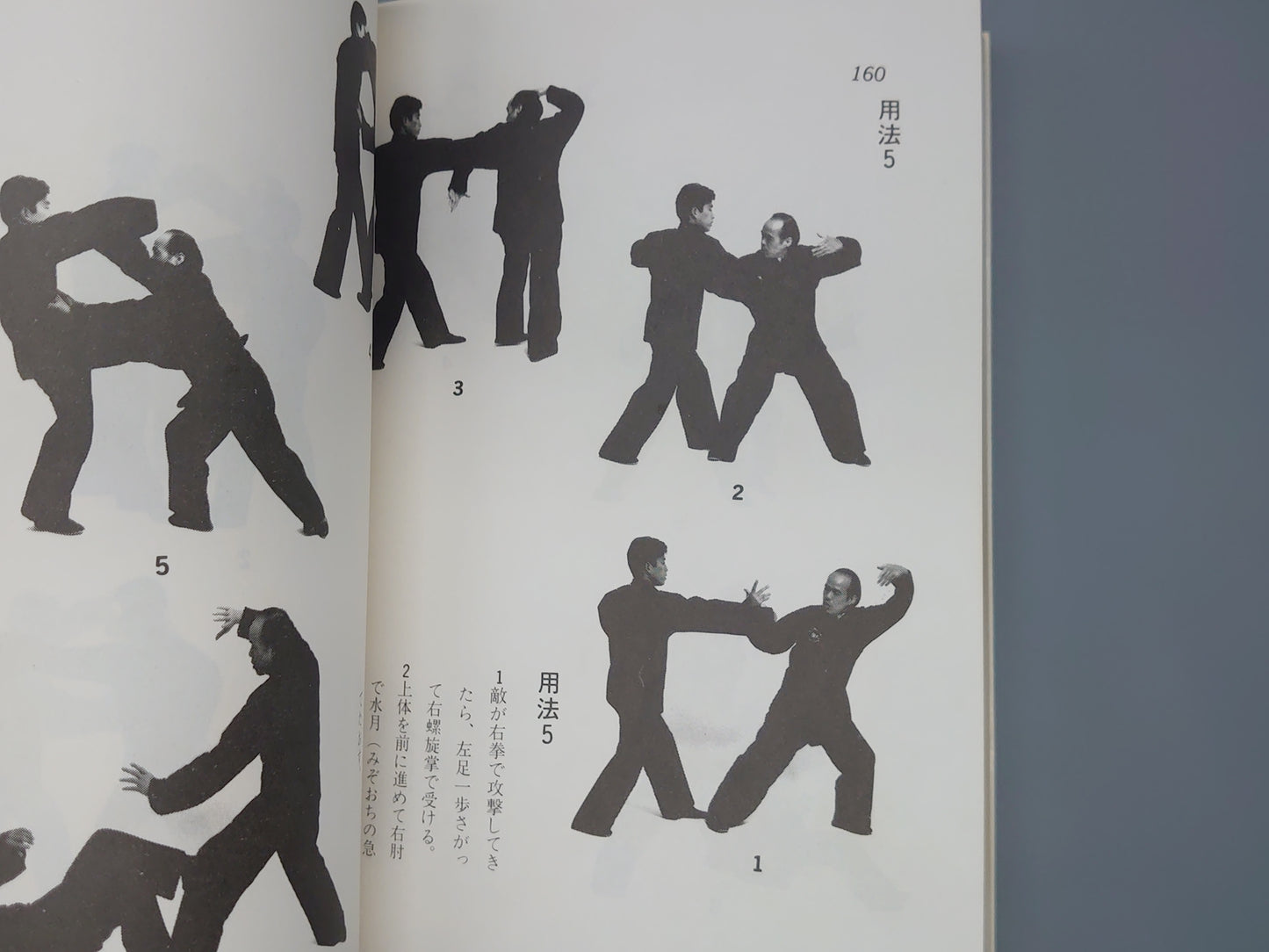 202 中国拳法 八卦掌/佐藤金兵衛/愛隆堂