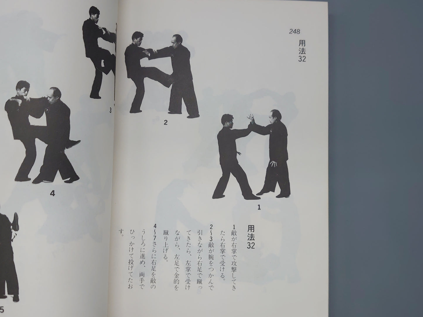 202 中国拳法 八卦掌/佐藤金兵衛/愛隆堂