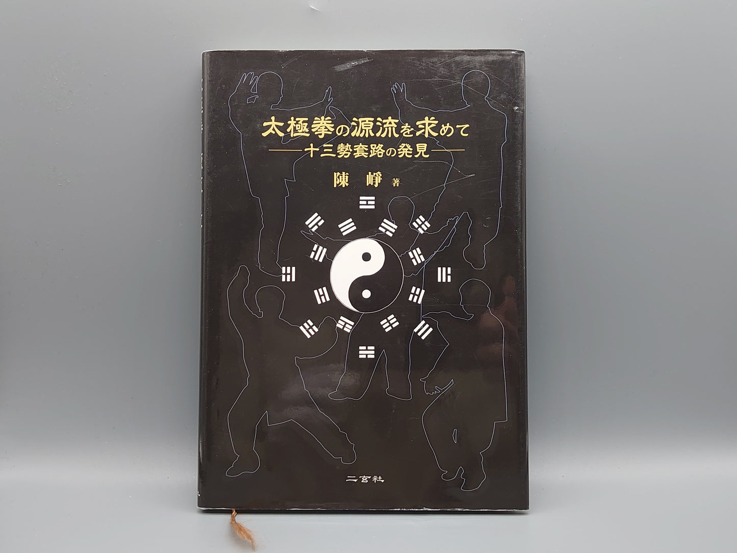 202 太極拳の源流を求めて 十三勢套路の発見/陳崢/二玄社