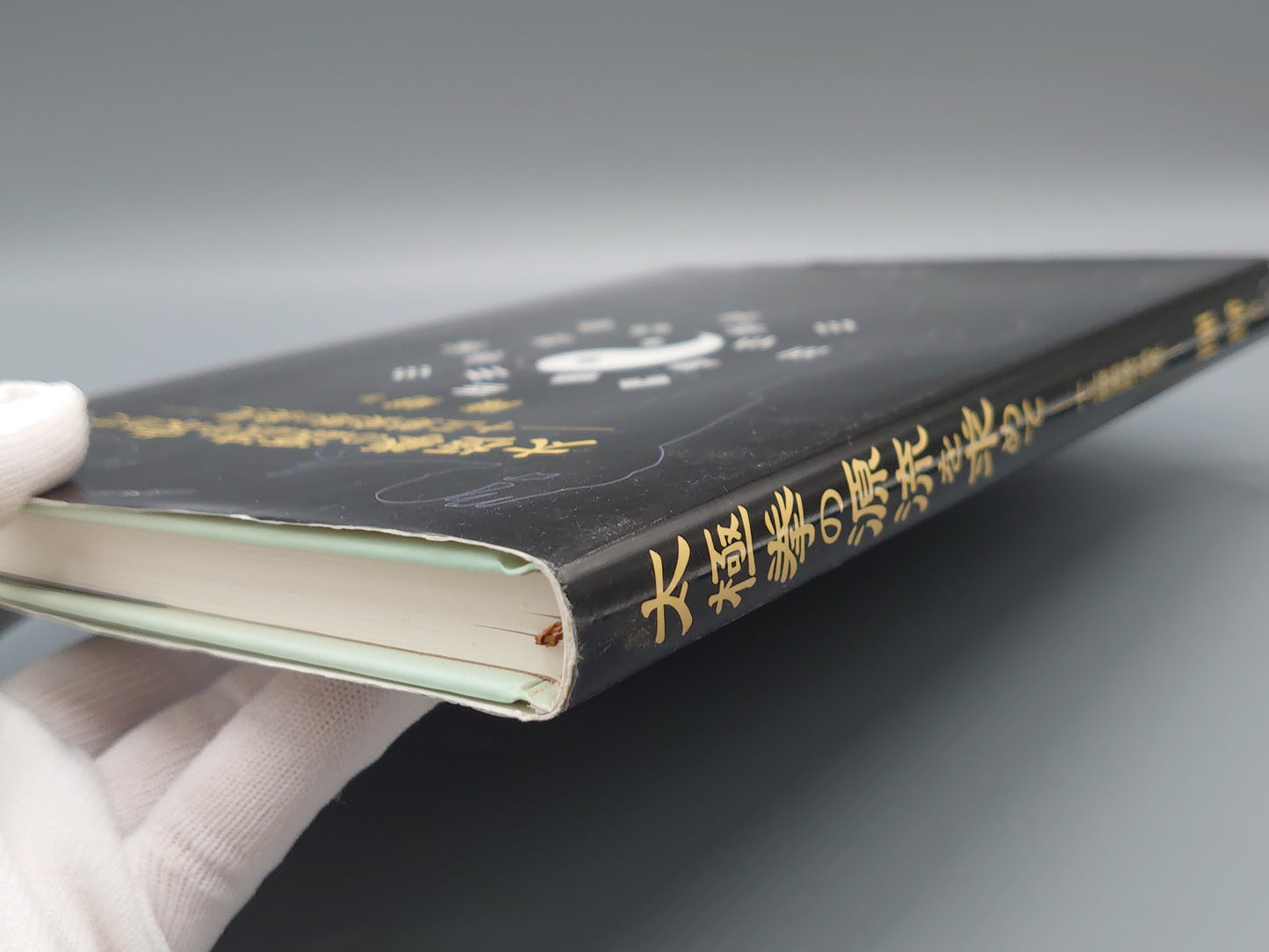 202 太極拳の源流を求めて 十三勢套路の発見/陳崢/二玄社