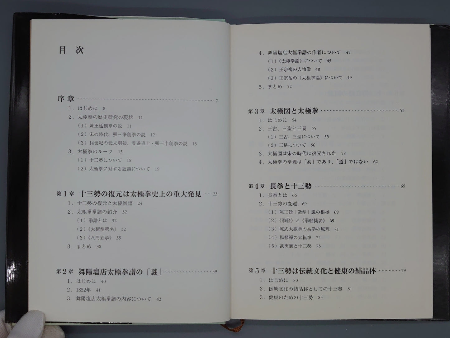 202 太極拳の源流を求めて 十三勢套路の発見/陳崢/二玄社