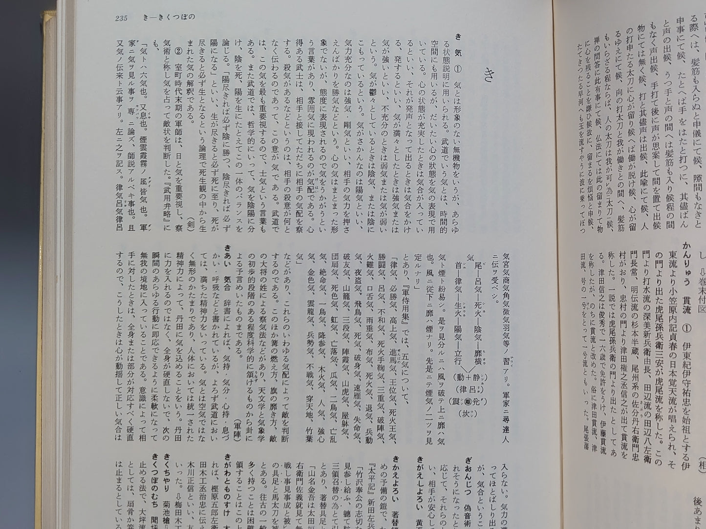 203 図説 日本武道辞典