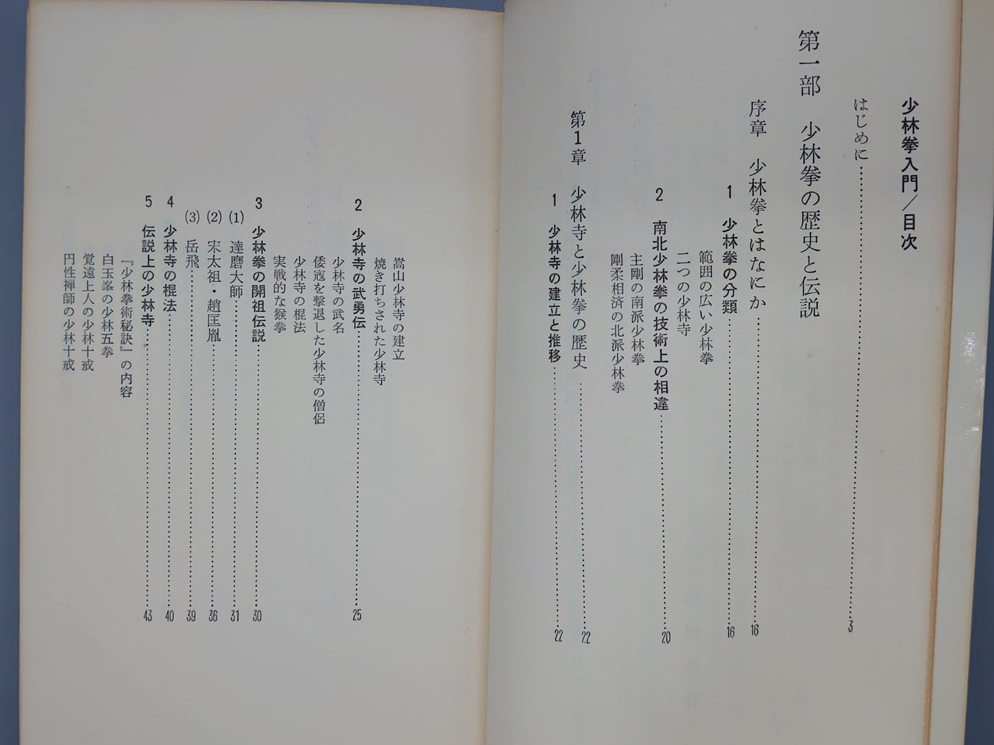 202 少林拳入門 中国正伝〝実践武術〟の神髄/松田隆智/産報