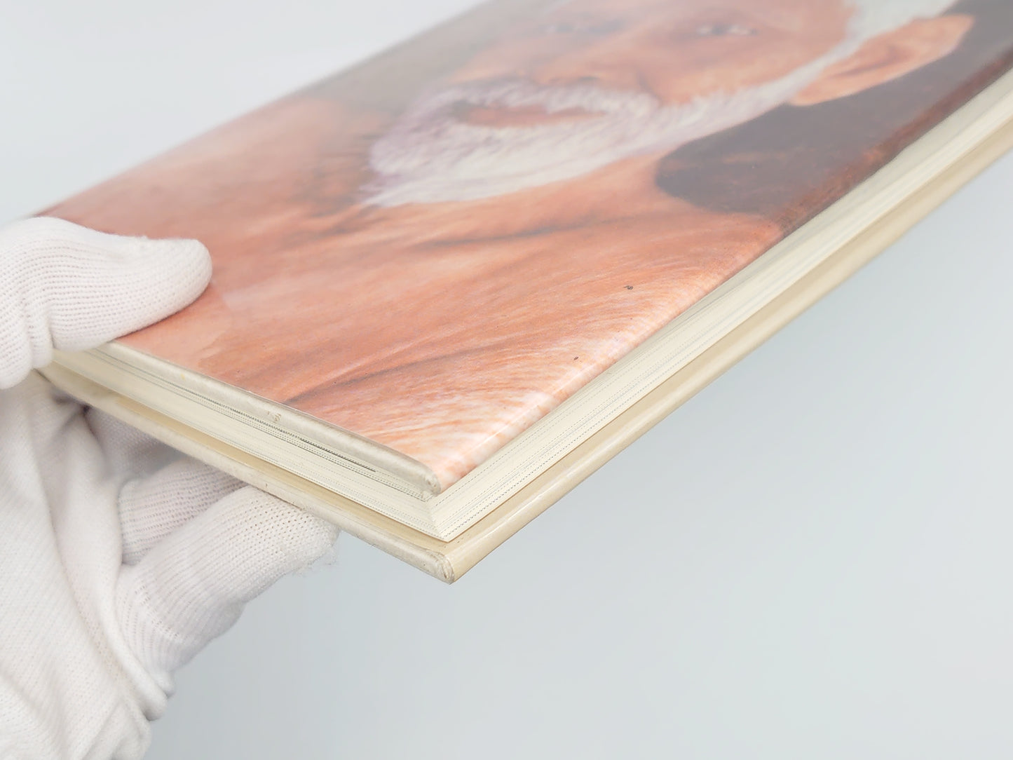 216 沈黙の聖者：ラマナ・マハルシその生涯と教え / シュリ・ラマナシュラマム/出帆新社