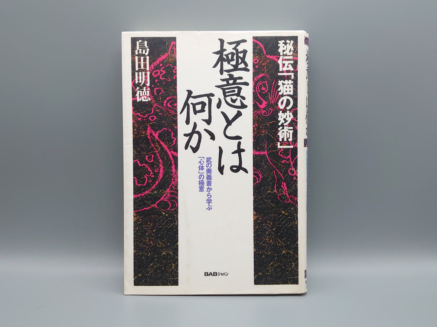 202 極意とは何か 秘伝「猫の妙術」