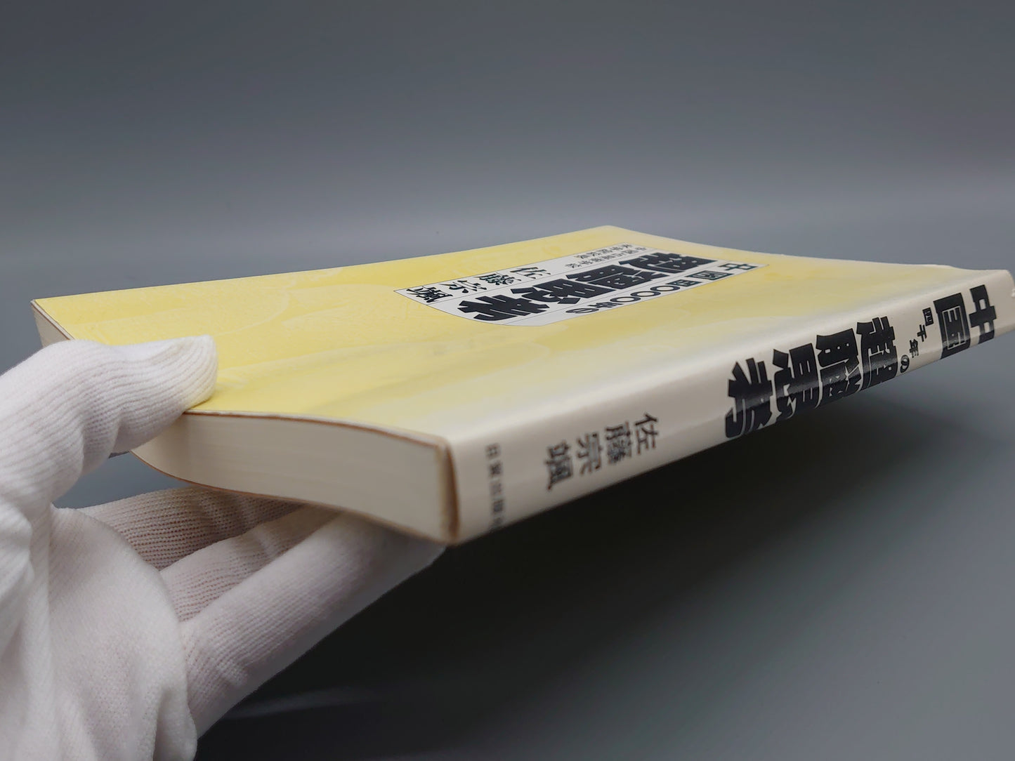 216 中国4000年の超脳思考/佐藤宗颯/日貿出版社