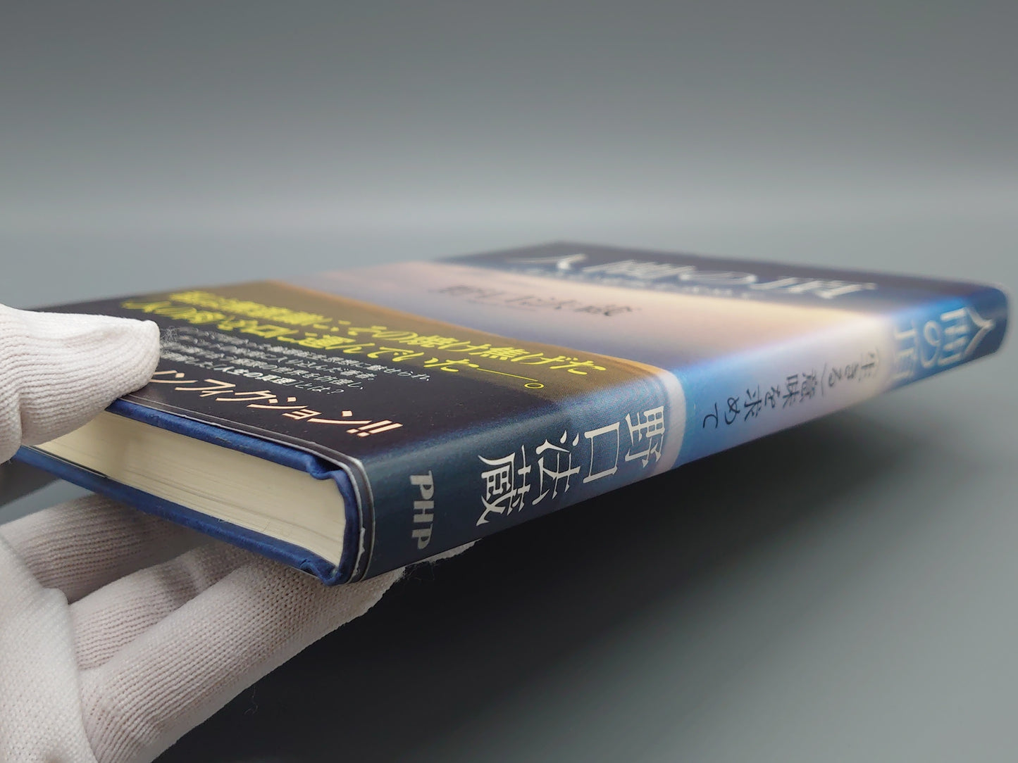 214 人間の頂 〈生きる〉意味を求めて/野口法蔵/PHP研究所