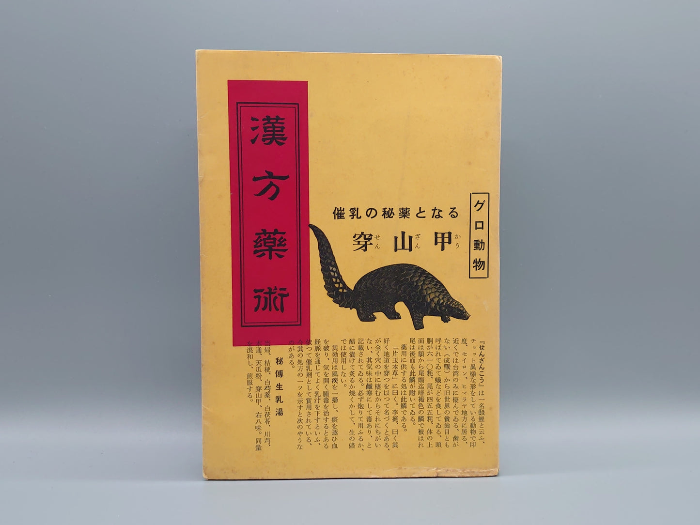 224 漢方薬術 増補 1965年版
