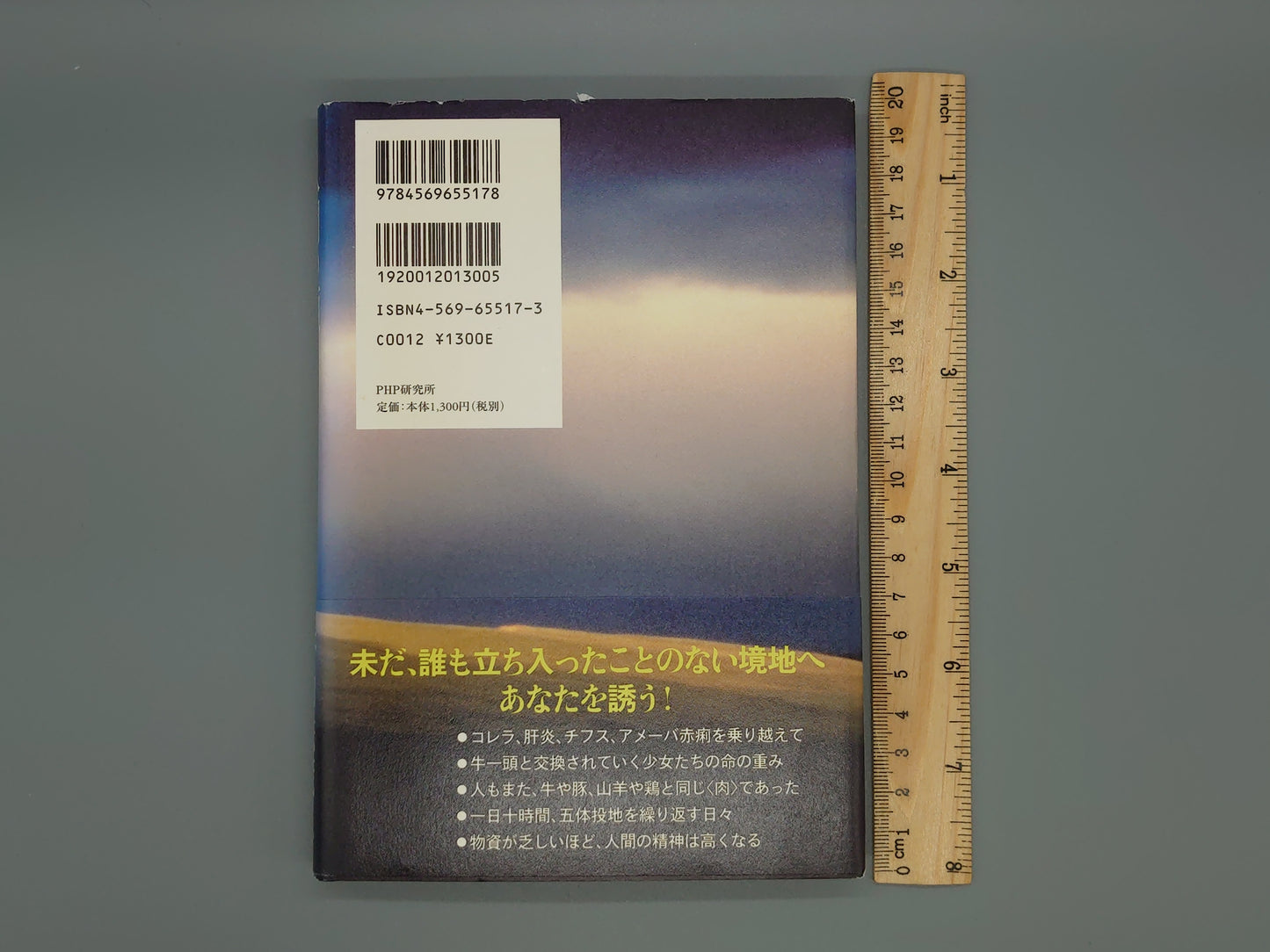 214 人間の頂 〈生きる〉意味を求めて/野口法蔵/PHP研究所