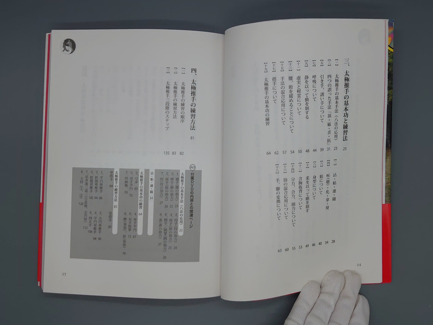 202 達人 劉慶洲老師が基礎から教える 太極推手入門/劉慶洲/BABジャパン