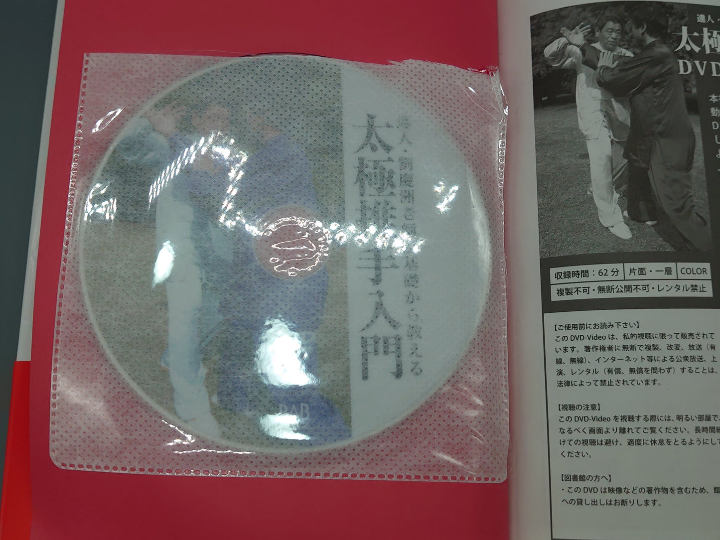 202 達人 劉慶洲老師が基礎から教える 太極推手入門/劉慶洲/BABジャパン