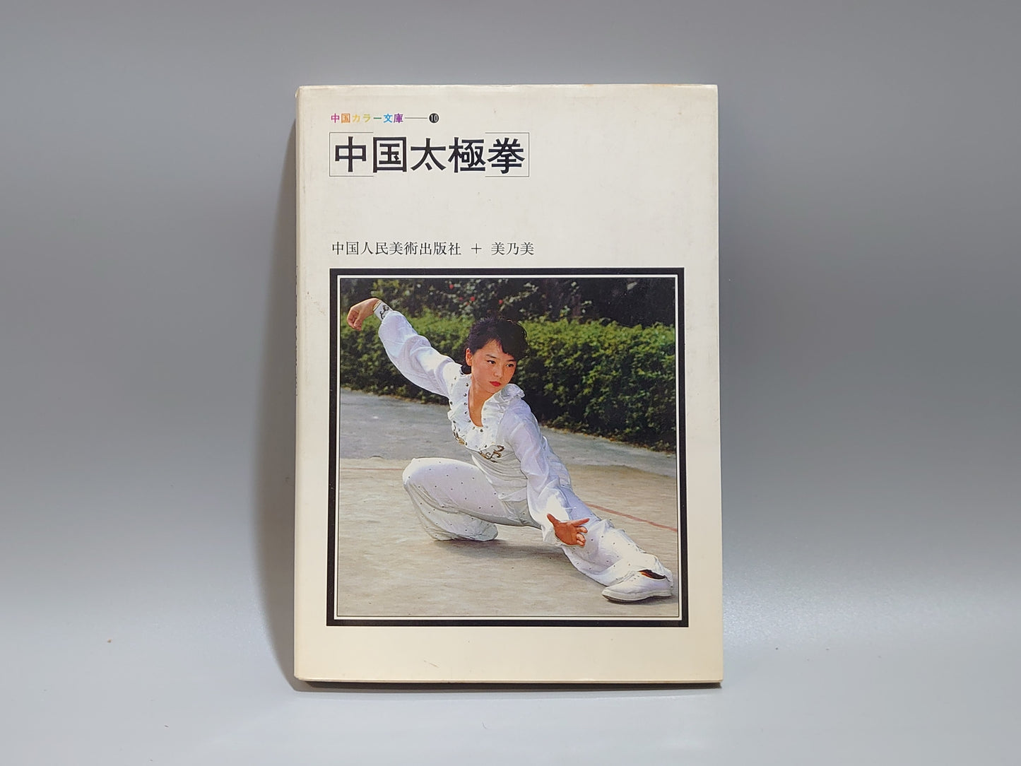 203 中国太極拳 中国カラー文庫⑩